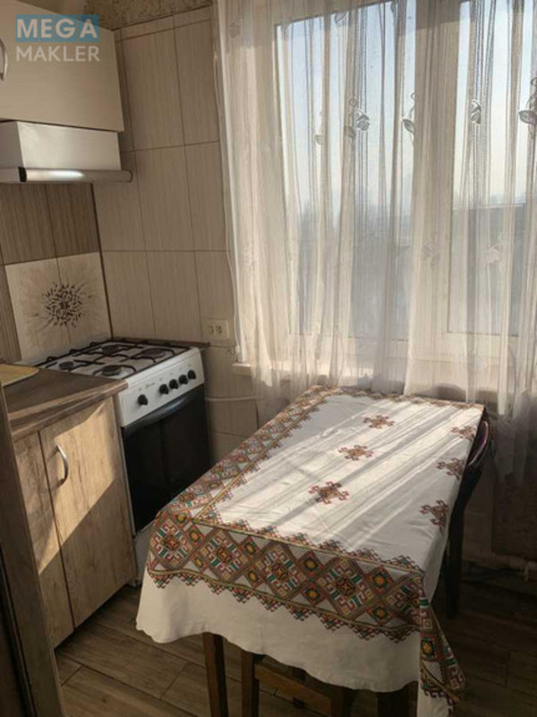 Оренда 1 кімнатної квартири, <a class="location-link" href="/kiev/" title="Недвижимость Київ">Київ</a>, <a class="location-link" href="/kiev/podolskij/" title="Недвижимость Подільський район">Подільський р-н</a>, Межевой пер., 5 (изображение 10)