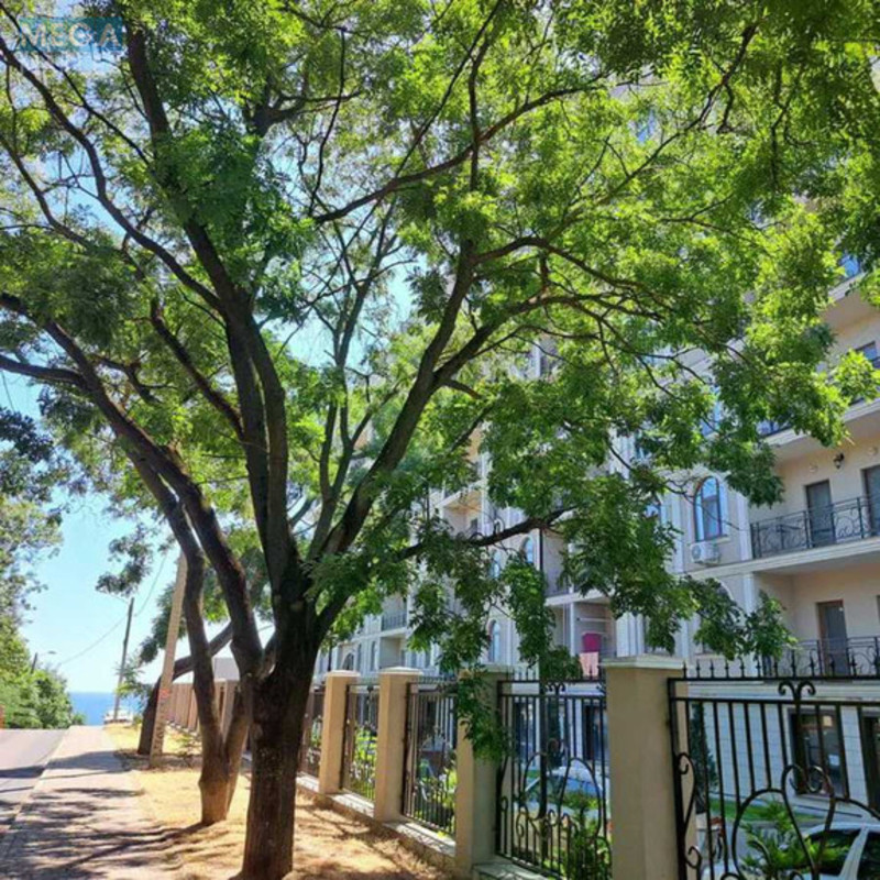 Продаж 1 кімнатної квартири (52/20/14), 3 пов. 9 пов. будинку, <a class="location-link" href="/odessa/" title="Недвижимость Одеса">Одеса</a>, <a class="location-link" href="/odessa/kievskij/" title="Недвижимость Київський район">Київський р-н</a>, Дача Ковалевського, 91 (изображение 15)