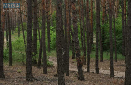 Продажа участка, 74&nbsp;сотки, земля коммерческого назначения, <a class="location-link" href="/starye-bezradichi/" title="Недвижимость Старі Безрадичі">Старі Безрадичі</a>, б/н (изображение 2)