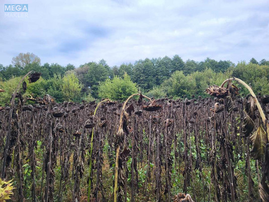 Продажа участка, 12&nbsp;соток, земля сельскохозяйственного назначения, <a class="location-link" href="/golovurov/" title="Недвижимость Головурів">Головурів</a>, б/н (изображение 2)