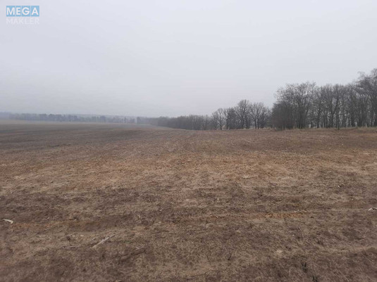 Продажа участка, 200&nbsp;соток, земля сельскохозяйственного назначения, <a class="location-link" href="/voronkov/" title="Недвижимость Вороньків">Вороньків</a>, Вороньківська с/р (изображение 3)