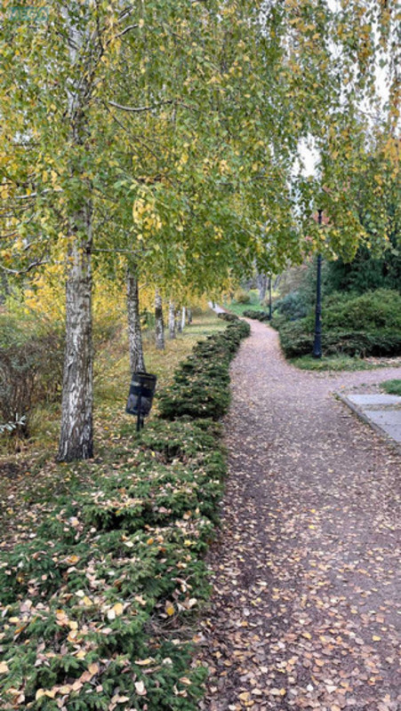 Оренда 1 кімнатної квартири, <a class="location-link" href="/kiev/" title="Недвижимость Київ">Київ</a>, <a class="location-link" href="/kiev/podolskij/" title="Недвижимость Подільський район">Подільський р-н</a>, Вышгородская ул., 45 (изображение 18)