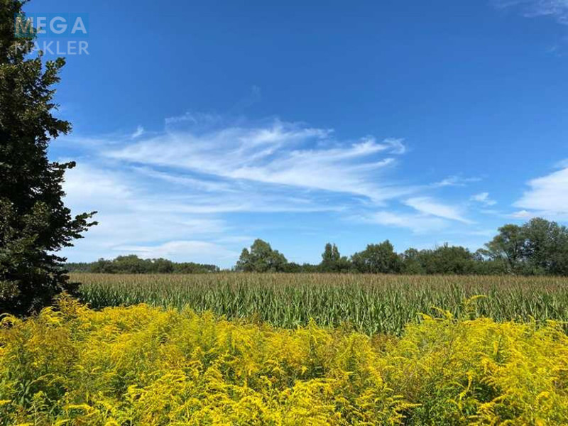 Продажа участка, 487,22&nbsp;соток, земля сельскохозяйственного назначения, <a class="location-link" href="/gruzskoe-selo-kv/" title="Недвижимость Грузьке">Грузьке</a>, Нова (изображение 2)