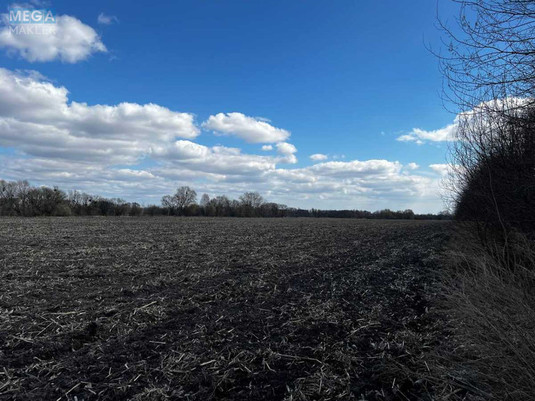 Продажа участка, 487,22&nbsp;соток, земля сельскохозяйственного назначения, <a class="location-link" href="/gruzskoe-selo-kv/" title="Недвижимость Грузьке">Грузьке</a>, Нова (изображение 6)