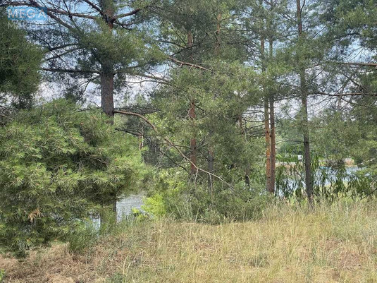 Продажа участка, 37&nbsp;соток, участок под жилую застройку, <a class="location-link" href="/lebedevka-selo-kv-vyshgorodskij-rajon/" title="Недвижимость Лебедівка">Лебедівка</a>, Головна (изображение 5)