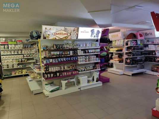 Продаж комерційної нерухомості, 227&nbsp;кв.м, под магазин, <a class="location-link" href="/kiev/" title="Недвижимость Київ">Київ</a>, <a class="location-link" href="/kiev/goloseevskij/" title="Недвижимость Голосіївський район">Голосіївський р-н</a>, Голосеевская ул., 13а (изображение 6)