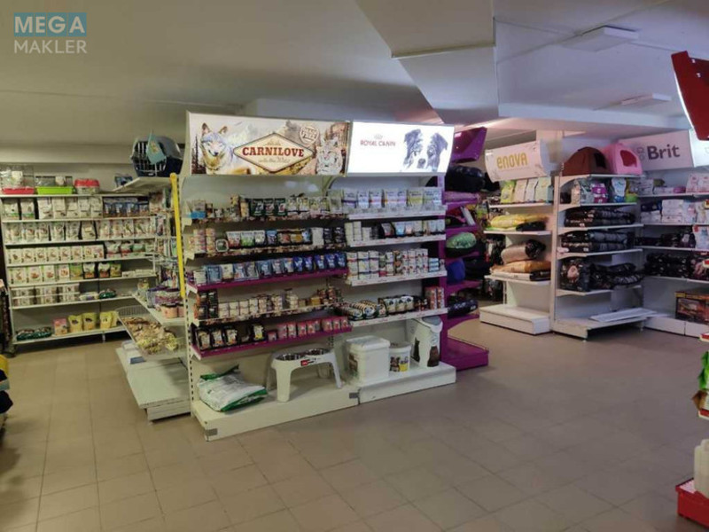 Продаж комерційної нерухомості, 227&nbsp;кв.м, под магазин, <a class="location-link" href="/kiev/" title="Недвижимость Київ">Київ</a>, <a class="location-link" href="/kiev/goloseevskij/" title="Недвижимость Голосіївський район">Голосіївський р-н</a>, Голосеевская ул., 13а (изображение 6)
