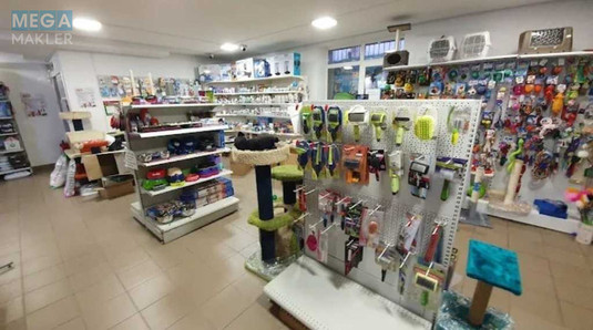 Продаж комерційної нерухомості, 227&nbsp;кв.м, под магазин, <a class="location-link" href="/kiev/" title="Недвижимость Київ">Київ</a>, <a class="location-link" href="/kiev/goloseevskij/" title="Недвижимость Голосіївський район">Голосіївський р-н</a>, Голосеевская ул., 13а (изображение 7)