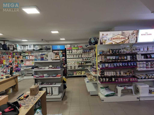 Продаж комерційної нерухомості, 227&nbsp;кв.м, под магазин, <a class="location-link" href="/kiev/" title="Недвижимость Київ">Київ</a>, <a class="location-link" href="/kiev/goloseevskij/" title="Недвижимость Голосіївський район">Голосіївський р-н</a>, Голосеевская ул., 13а (изображение 9)