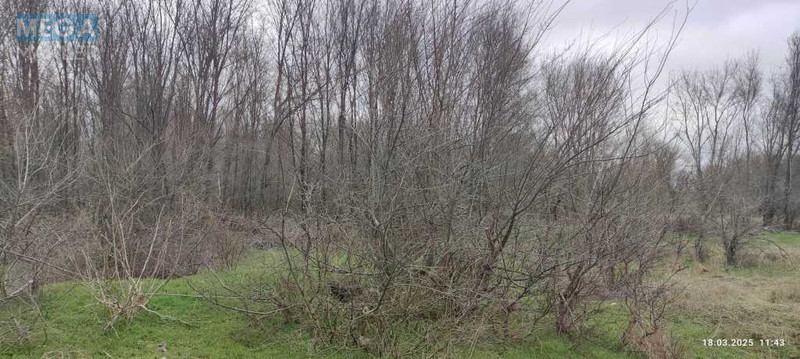 Продажа участка, 364,55&nbsp;сотки, участок под жилую застройку, <a class="location-link" href="/zaporozhje/" title="Недвижимость Запоріжжя">Запоріжжя</a>, <a class="location-link" href="/zaporozhje/leninskij/" title="Недвижимость Ленінський район">Ленінський р-н</a>, Адмірала Макарова (изображение 3)