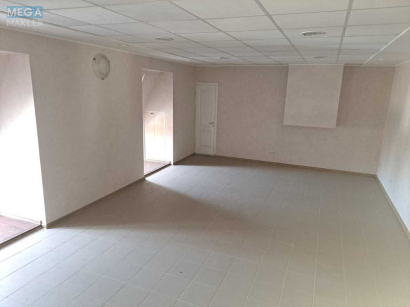 Продаж окремої будівлі/побудови, 465&nbsp;кв.м, <a class="location-link" href="/poradovka/" title="Недвижимость Порадівка">Порадівка</a>, Реаолюціїї, 1 (изображение 13)