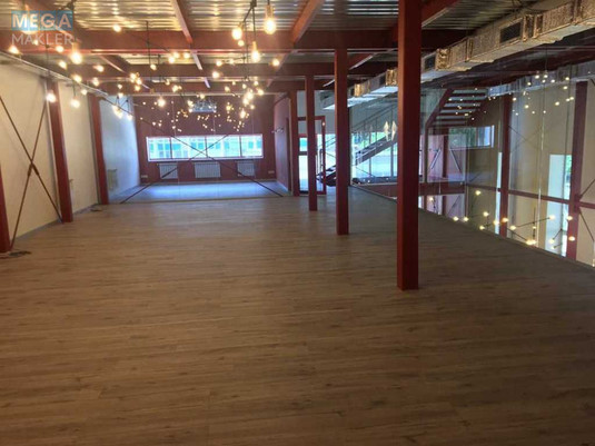 Оренда комерційної нерухомості, 605&nbsp;кв.м, под офис, <a class="location-link" href="/kiev/" title="Недвижимость Київ">Київ</a>, <a class="location-link" href="/kiev/dneprovskij/" title="Недвижимость Дніпровський район">Дніпровський р-н</a>, Евгения Сверстюка ул., 11Б (изображение 5)