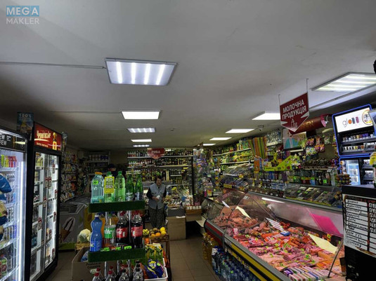 Продаж комерційної нерухомості, 175,90&nbsp;кв.м, под магазин, <a class="location-link" href="/nikolaev/" title="Недвижимость Миколаїв">Миколаїв</a>, <a class="location-link" href="/nikolaev/centralnyj/" title="Недвижимость Центрульний район">Центрульний р-н</a>, проспект Миру, 22/2 (изображение 5)