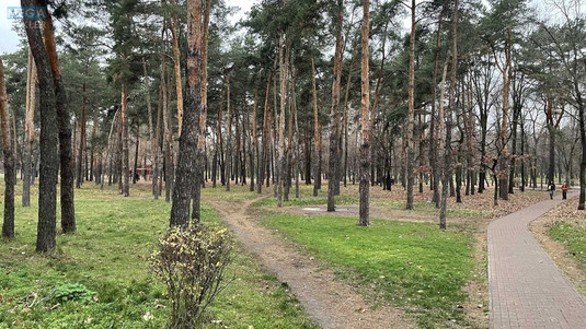 Продаж 2 кімнатної квартири (45,5/30/7,5), 4 пов. 5 пов. будинку, <a class="location-link" href="/kiev/" title="Недвижимость Київ">Київ</a>, <a class="location-link" href="/kiev/dneprovskij/" title="Недвижимость Дніпровський район">Дніпровський р-н</a>, Дарницький бульв., 17 (изображение 17)