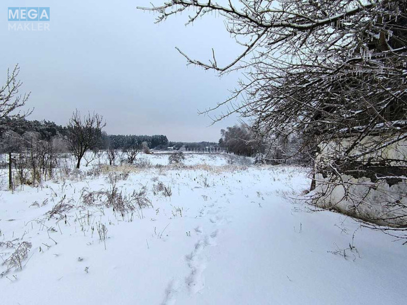 Продаж дома, 1&nbsp; поверх, 40&nbsp;кв.м, 2&nbsp;кімнати, ділянка 25&nbsp;соток, <a class="location-link" href="/yasnogorodka-selo/" title="Недвижимость Ясногородка">Ясногородка</a>, міндіча (изображение 4)