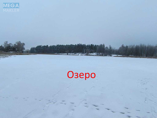 Продаж дома, 1&nbsp; поверх, 40&nbsp;кв.м, 2&nbsp;кімнати, ділянка 25&nbsp;соток, <a class="location-link" href="/yasnogorodka-selo/" title="Недвижимость Ясногородка">Ясногородка</a>, міндіча (изображение 11)