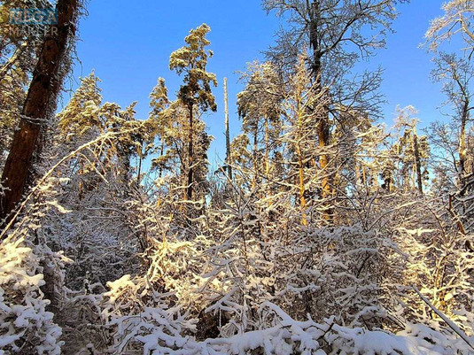 Продаж дома, 1&nbsp; поверх, 40&nbsp;кв.м, 2&nbsp;кімнати, ділянка 25&nbsp;соток, <a class="location-link" href="/yasnogorodka-selo/" title="Недвижимость Ясногородка">Ясногородка</a>, міндіча (изображение 12)