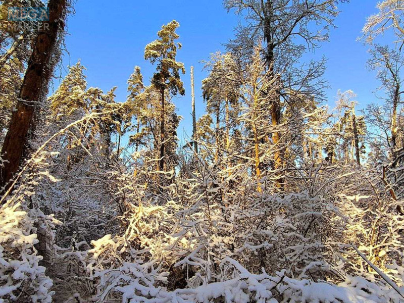 Продаж дома, 1&nbsp; поверх, 40&nbsp;кв.м, 2&nbsp;кімнати, ділянка 25&nbsp;соток, <a class="location-link" href="/yasnogorodka-selo/" title="Недвижимость Ясногородка">Ясногородка</a>, міндіча (изображение 12)