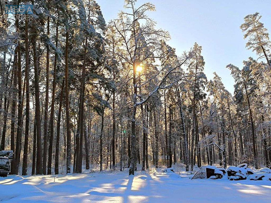 Продаж дома, 1&nbsp; поверх, 40&nbsp;кв.м, 2&nbsp;кімнати, ділянка 25&nbsp;соток, <a class="location-link" href="/yasnogorodka-selo/" title="Недвижимость Ясногородка">Ясногородка</a>, міндіча (изображение 13)