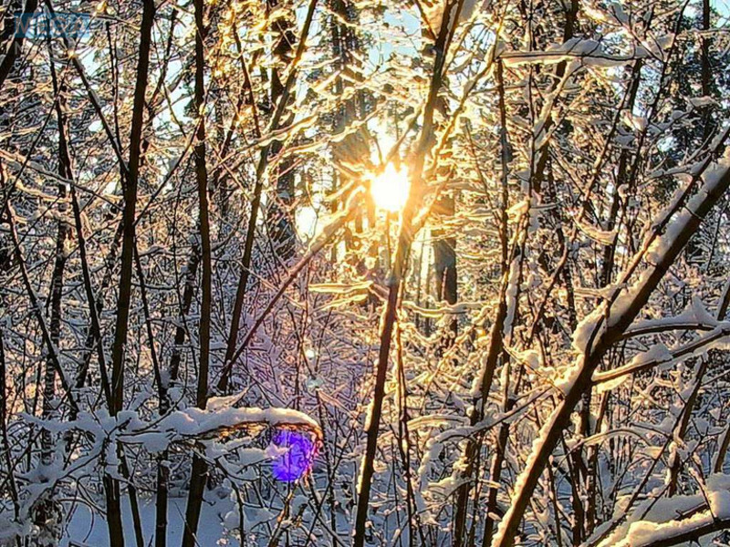 Продаж дома, 1&nbsp; поверх, 40&nbsp;кв.м, 2&nbsp;кімнати, ділянка 25&nbsp;соток, <a class="location-link" href="/yasnogorodka-selo/" title="Недвижимость Ясногородка">Ясногородка</a>, міндіча (изображение 14)