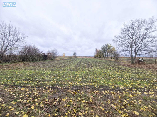 Продаж дома, 1&nbsp; поверх, 40,50&nbsp;кв.м, 2&nbsp;кімнати, ділянка 20&nbsp;соток, <a class="location-link" href="/nezhin/" title="Недвижимость Ніжин">Ніжин</a>, Центральна, 20 (изображение 11)