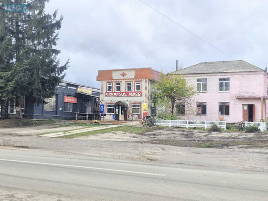 Продаж дома, 1&nbsp; поверх, 40,50&nbsp;кв.м, 2&nbsp;кімнати, ділянка 20&nbsp;соток, <a class="location-link" href="/nezhin/" title="Недвижимость Ніжин">Ніжин</a>, Центральна, 20 (изображение 17)