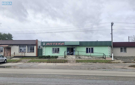 Продаж дома, 1&nbsp; поверх, 40,50&nbsp;кв.м, 2&nbsp;кімнати, ділянка 20&nbsp;соток, <a class="location-link" href="/nezhin/" title="Недвижимость Ніжин">Ніжин</a>, Центральна, 20 (изображение 20)