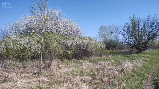 Продажа участка, 7,38&nbsp;соток, участок под жилую застройку, <a class="location-link" href="/kiev/" title="Недвижимость Київ">Київ</a>, <a class="location-link" href="/kiev/desnyanskij/" title="Недвижимость Деснянський район">Деснянський р-н</a>, Вірності вул. (изображение 16)