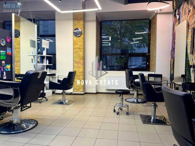 Продаж комерційної нерухомості, 183&nbsp;кв.м, <a class="location-link" href="/kiev/" title="Недвижимость Київ">Київ</a>, <a class="location-link" href="/kiev/shevchenkovskij/" title="Недвижимость Шевченківський район">Шевченківський р-н</a>, Бульварно-Кудрявська вул., 43 (изображение 5)