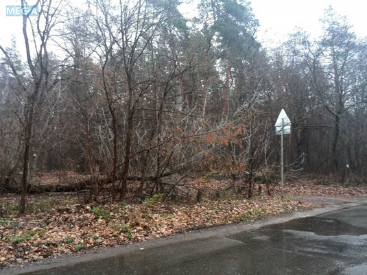 Продажа участка, 20&nbsp;соток, участок под жилую застройку, <a class="location-link" href="/kiev/" title="Недвижимость Київ">Київ</a>, <a class="location-link" href="/kiev/obolonskij/" title="Недвижимость Оболонський район">Оболонський р-н</a>, Лесная ул. (изображение 3)