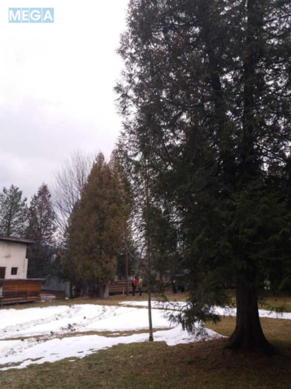 Продаж дома, 2&nbsp;поверху, 500&nbsp;кв.м, 13&nbsp;кімнат, ділянка 50&nbsp;соток, <a class="location-link" href="/verhovina/" title="Недвижимость Верховина">Верховина</a>, Невестюка (изображение 9)