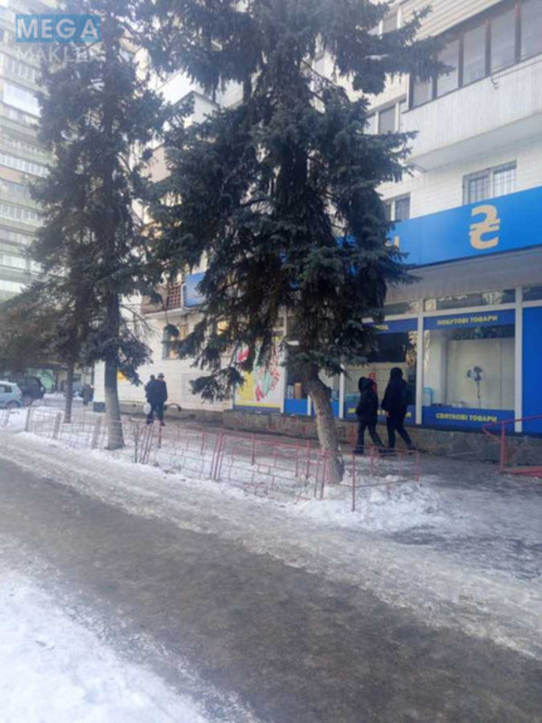 Оренда комерційної нерухомості, 298&nbsp;кв.м, под магазин, <a class="location-link" href="/kiev/" title="Недвижимость Київ">Київ</a>, <a class="location-link" href="/kiev/dneprovskij/" title="Недвижимость Дніпровський район">Дніпровський р-н</a>, Русанівський бульв., 3 (изображение 5)