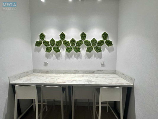 Оренда комерційної нерухомості, 152&nbsp;кв.м, под офис, <a class="location-link" href="/kiev/" title="Недвижимость Київ">Київ</a>, <a class="location-link" href="/kiev/shevchenkovskij/" title="Недвижимость Шевченківський район">Шевченківський р-н</a>, Глибочицька вул., 32б (изображение 15)