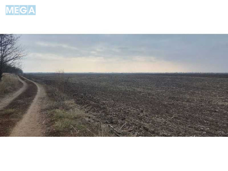 Продажа участка, 535,93&nbsp;соток, земля сельскохозяйственного назначения, <a class="location-link" href="/novovoskresenskoe/" title="Недвижимость Нововоскресенське">Нововоскресенське</a>, Нова (изображение 2)