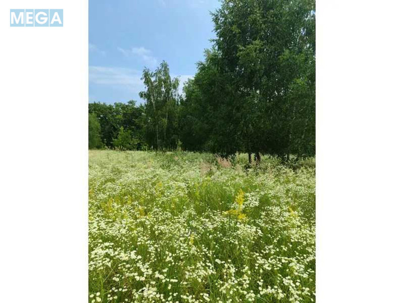 Продажа участка, 1&nbsp;446,95&nbsp;соток, земля сельскохозяйственного назначения, <a class="location-link" href="/lubyanka-selo-kv/" title="Недвижимость Луб'янка">Луб`янка</a>, Нова (изображение 2)