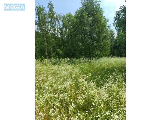 Продажа участка, 1&nbsp;446,95&nbsp;соток, земля сельскохозяйственного назначения, <a class="location-link" href="/lubyanka-selo-kv/" title="Недвижимость Луб'янка">Луб`янка</a>, Нова (изображение 5)