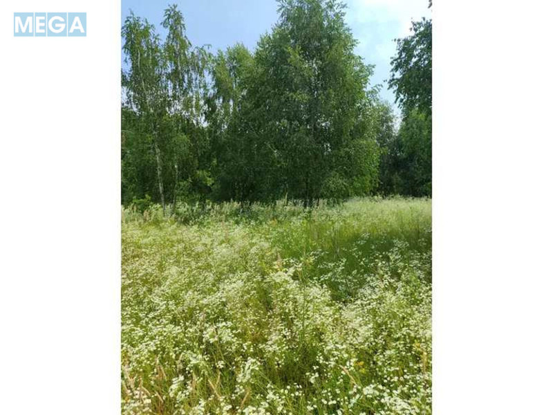 Продажа участка, 1&nbsp;446,95&nbsp;соток, земля сельскохозяйственного назначения, <a class="location-link" href="/lubyanka-selo-kv/" title="Недвижимость Луб'янка">Луб`янка</a>, Нова (изображение 5)