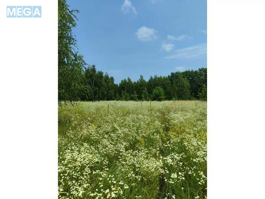 Продажа участка, 1&nbsp;446,95&nbsp;соток, земля сельскохозяйственного назначения, <a class="location-link" href="/lubyanka-selo-kv/" title="Недвижимость Луб'янка">Луб`янка</a>, Нова (изображение 6)