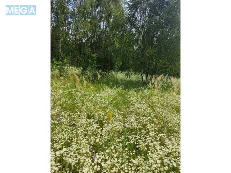 Продажа участка, 1&nbsp;446,95&nbsp;соток, земля сельскохозяйственного назначения, <a class="location-link" href="/lubyanka-selo-kv/" title="Недвижимость Луб'янка">Луб`янка</a>, Нова (изображение 7)