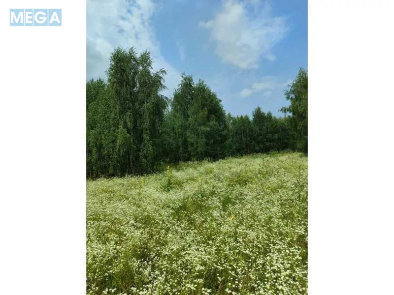 Продажа участка, 1&nbsp;446,95&nbsp;соток, земля сельскохозяйственного назначения, <a class="location-link" href="/lubyanka-selo-kv/" title="Недвижимость Луб'янка">Луб`янка</a>, Нова (изображение 10)