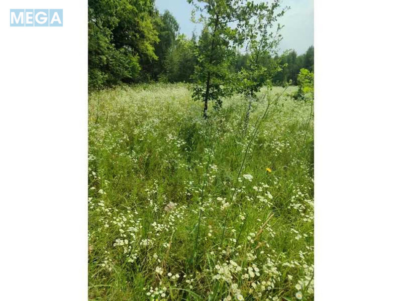 Продажа участка, 1&nbsp;446,95&nbsp;соток, земля сельскохозяйственного назначения, <a class="location-link" href="/lubyanka-selo-kv/" title="Недвижимость Луб'янка">Луб`янка</a>, Нова (изображение 11)