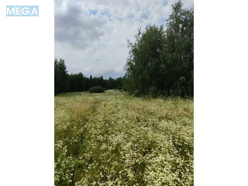 Продажа участка, 1&nbsp;446,95&nbsp;соток, земля сельскохозяйственного назначения, <a class="location-link" href="/lubyanka-selo-kv/" title="Недвижимость Луб'янка">Луб`янка</a>, Нова (изображение 12)