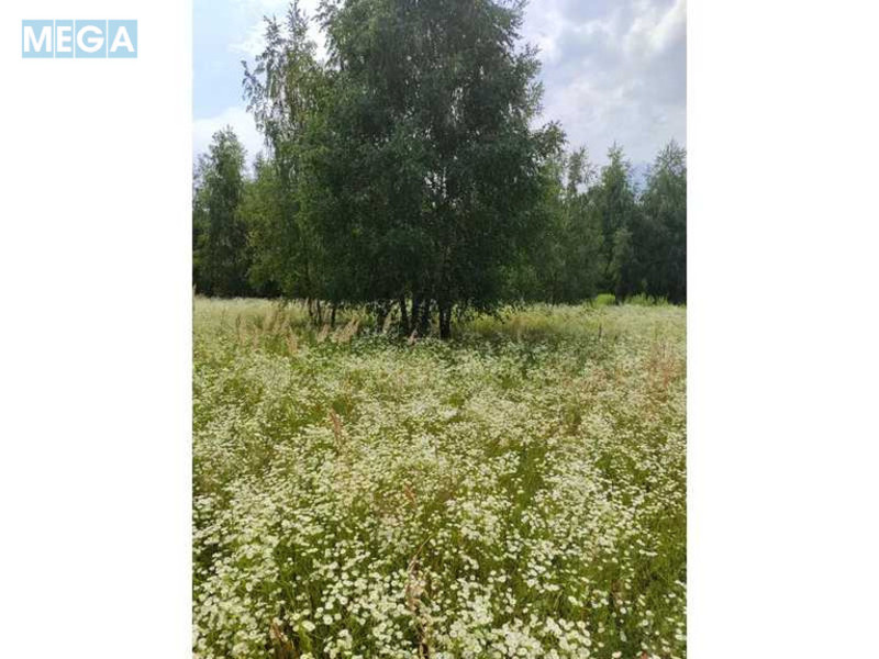 Продажа участка, 1&nbsp;446,95&nbsp;соток, земля сельскохозяйственного назначения, <a class="location-link" href="/lubyanka-selo-kv/" title="Недвижимость Луб'янка">Луб`янка</a>, Нова (изображение 14)