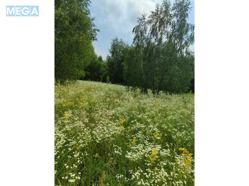 Продажа участка, 1&nbsp;446,95&nbsp;соток, земля сельскохозяйственного назначения, <a class="location-link" href="/lubyanka-selo-kv/" title="Недвижимость Луб'янка">Луб`янка</a>, Нова (изображение 19)