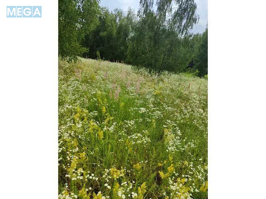 Продажа участка, 1&nbsp;446,95&nbsp;соток, земля сельскохозяйственного назначения, <a class="location-link" href="/lubyanka-selo-kv/" title="Недвижимость Луб'янка">Луб`янка</a>, Нова (изображение 20)