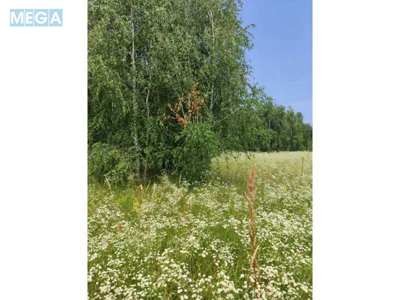 Продажа участка, 1&nbsp;446,95&nbsp;соток, земля сельскохозяйственного назначения, <a class="location-link" href="/lubyanka-selo-kv/" title="Недвижимость Луб'янка">Луб`янка</a>, Нова (изображение 21)