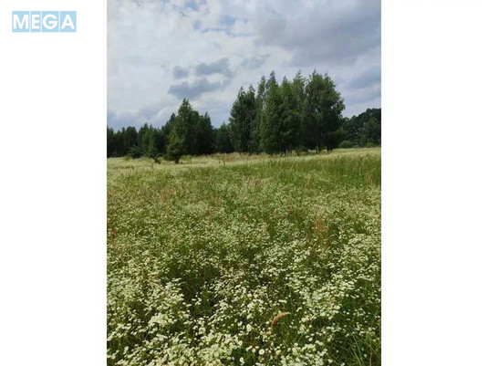 Продажа участка, 1&nbsp;446,95&nbsp;соток, земля сельскохозяйственного назначения, <a class="location-link" href="/lubyanka-selo-kv/" title="Недвижимость Луб'янка">Луб`янка</a>, Нова (изображение 23)