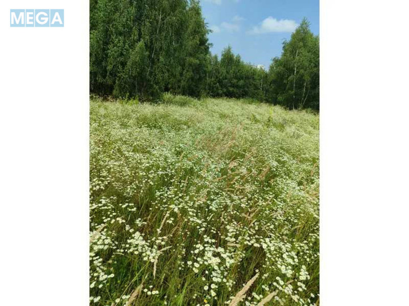 Продажа участка, 1&nbsp;446,95&nbsp;соток, земля сельскохозяйственного назначения, <a class="location-link" href="/lubyanka-selo-kv/" title="Недвижимость Луб'янка">Луб`янка</a>, Нова (изображение 25)