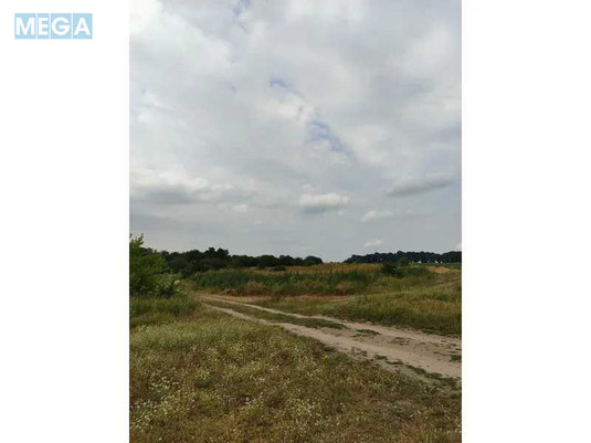 Продажа участка, 1&nbsp;519,95&nbsp;соток, земля сельскохозяйственного назначения, <a class="location-link" href="/lubyanka-selo-kv/" title="Недвижимость Луб'янка">Луб`янка</a>, Нова (изображение 4)