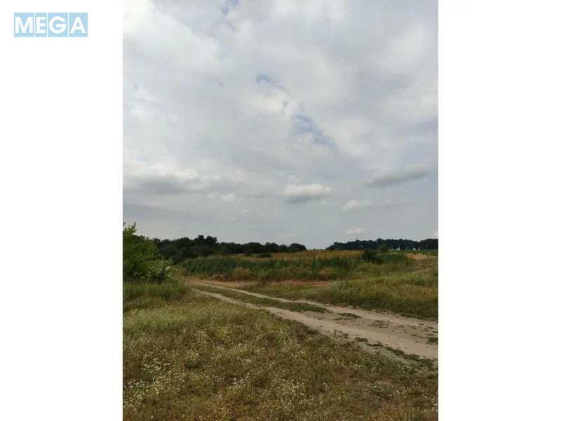 Продажа участка, 1&nbsp;519,95&nbsp;соток, земля сельскохозяйственного назначения, <a class="location-link" href="/lubyanka-selo-kv/" title="Недвижимость Луб'янка">Луб`янка</a>, Нова (изображение 4)